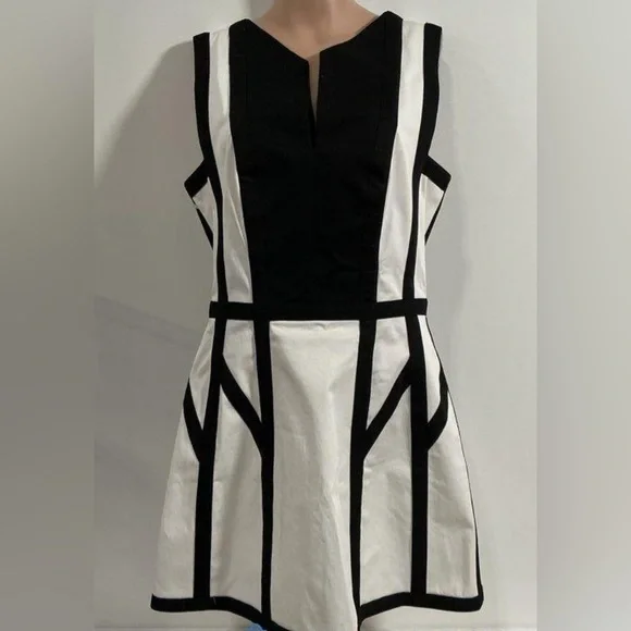 Robert Rodriguez, size 6, Graphic Spear Fit & Flare, Black & White Dress, EUC - Picture 3 of 7